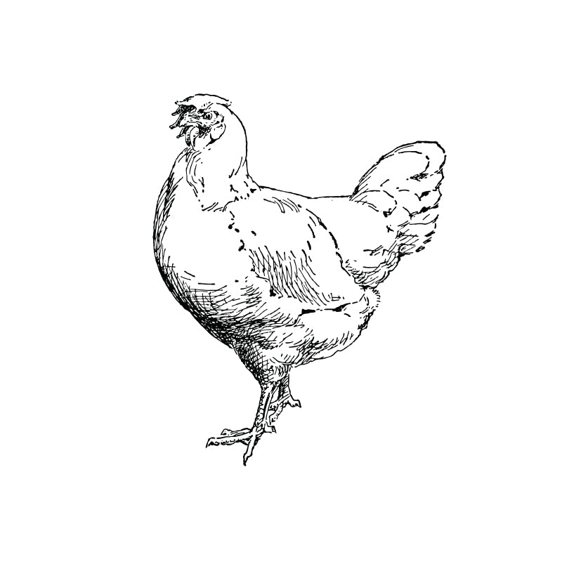 Lemon Thyme Chicken Breast